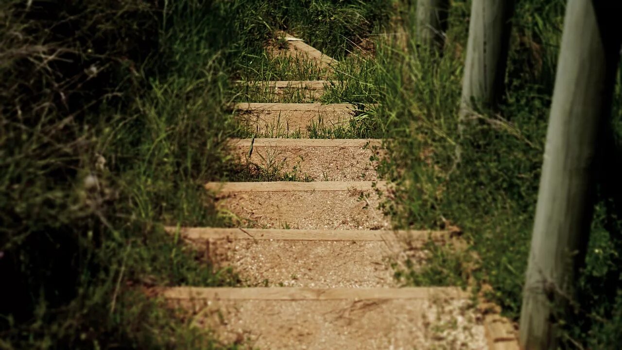 Первые шаги ступенька. Лестница из травы. Травяная лестница. Каменные ступени в траве. Ступеньки в траве.