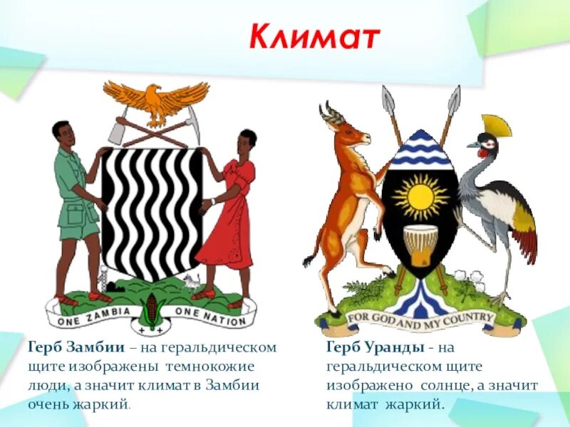 Национальные символы стран. Замбия национальный символ. Какие есть символы стран