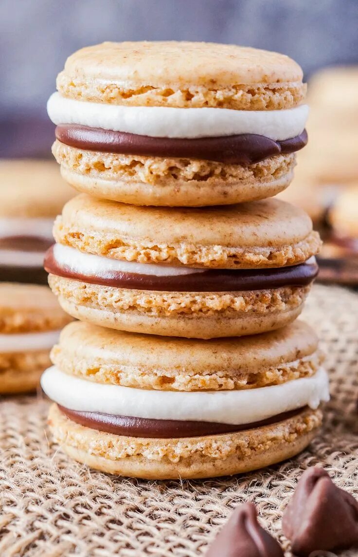 Печенье макарон фото Wallpaper : nature, cake, dessert, Macarons, icing, cookie, flavor, snack food,