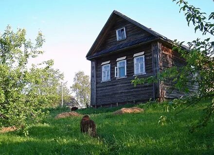 Дома в деревне сухая