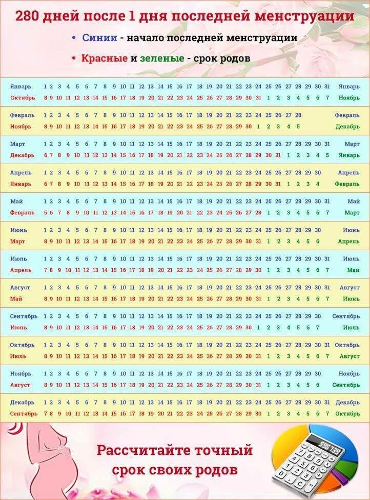 Точно рассчитать месячные. Календарь беременности. Алендарь беременности. Календарь беременности по неделям. КАРИНДАР беременность.