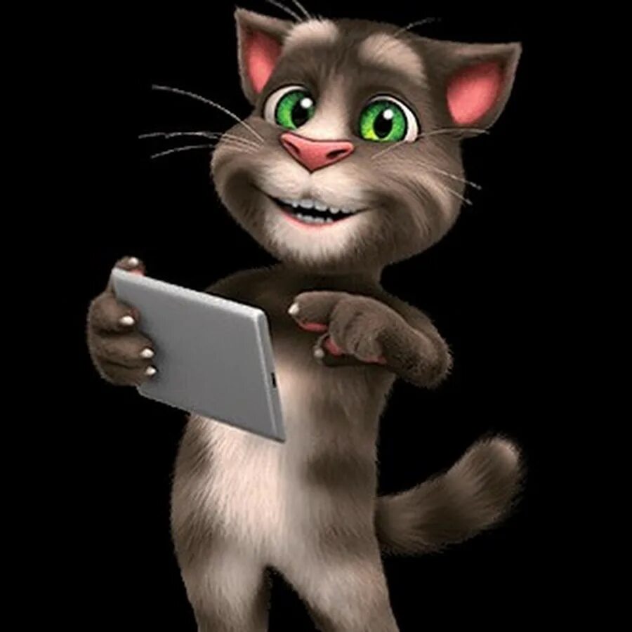 Talking Tom. Talking Tom Cat. Говорящий том для компьютера. My talking tom an1