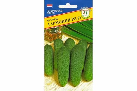 Сорт огурца гармония
