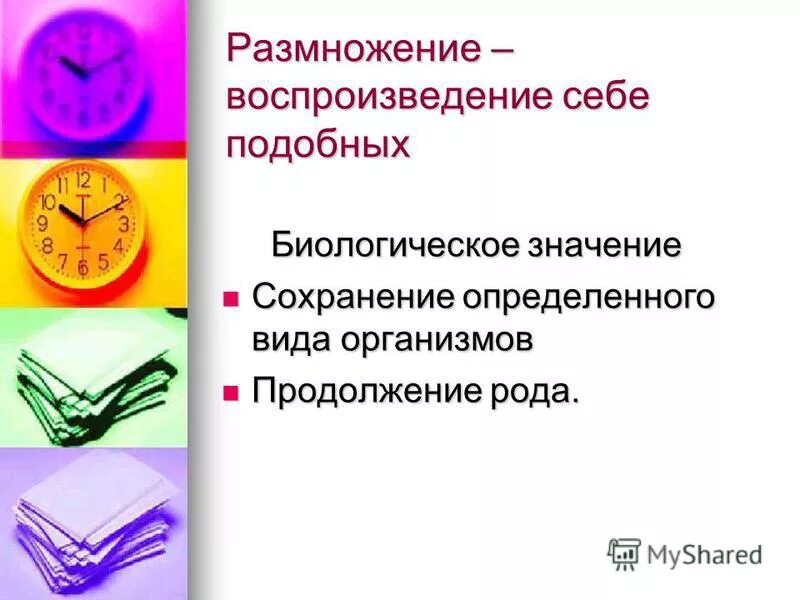 воспроизведение организмов. воспроизведение себе подобных называется. размножение воспроизведение себе подобных. процесс воспроизведения себе подобных. воспроизведение организмов его значение.