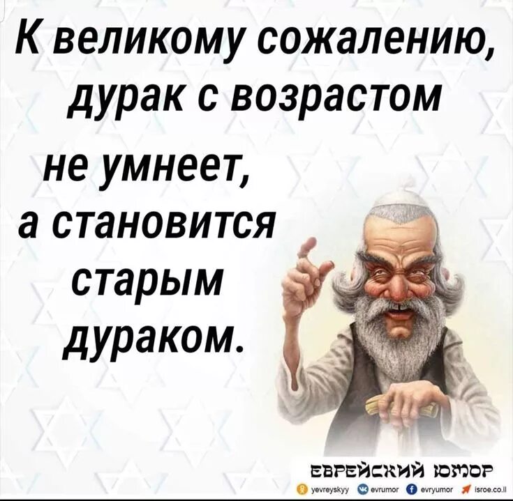 Стал старше стал мудрее. Цитаты про дураков. Про дураков афоризмы цитаты. Высказывания про дураков и глупцов. Умные высказывания про дураков и глупцов.