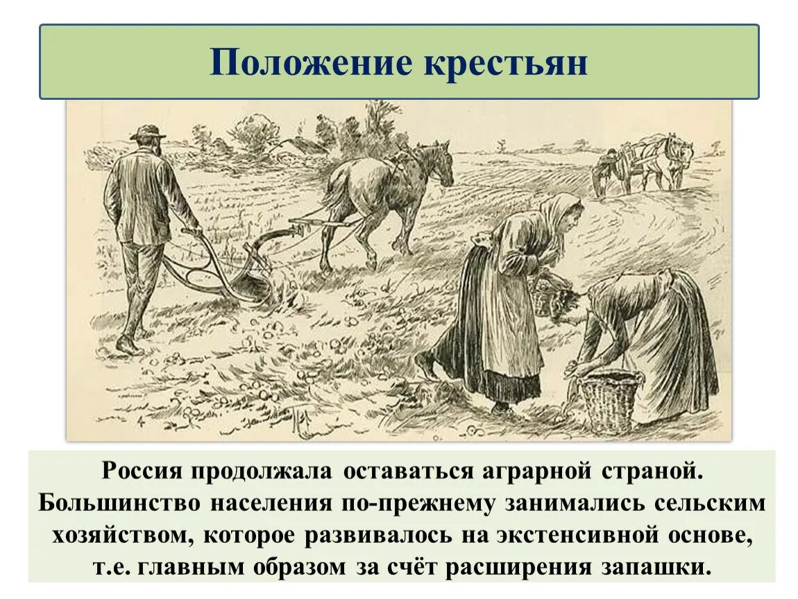 Как государство боролось с побегами крестьян. Сельское хозяйство при Петре 1. Положение крестьян. Полржкние кретьянмтвп. Положение крестьян при Петре 1.