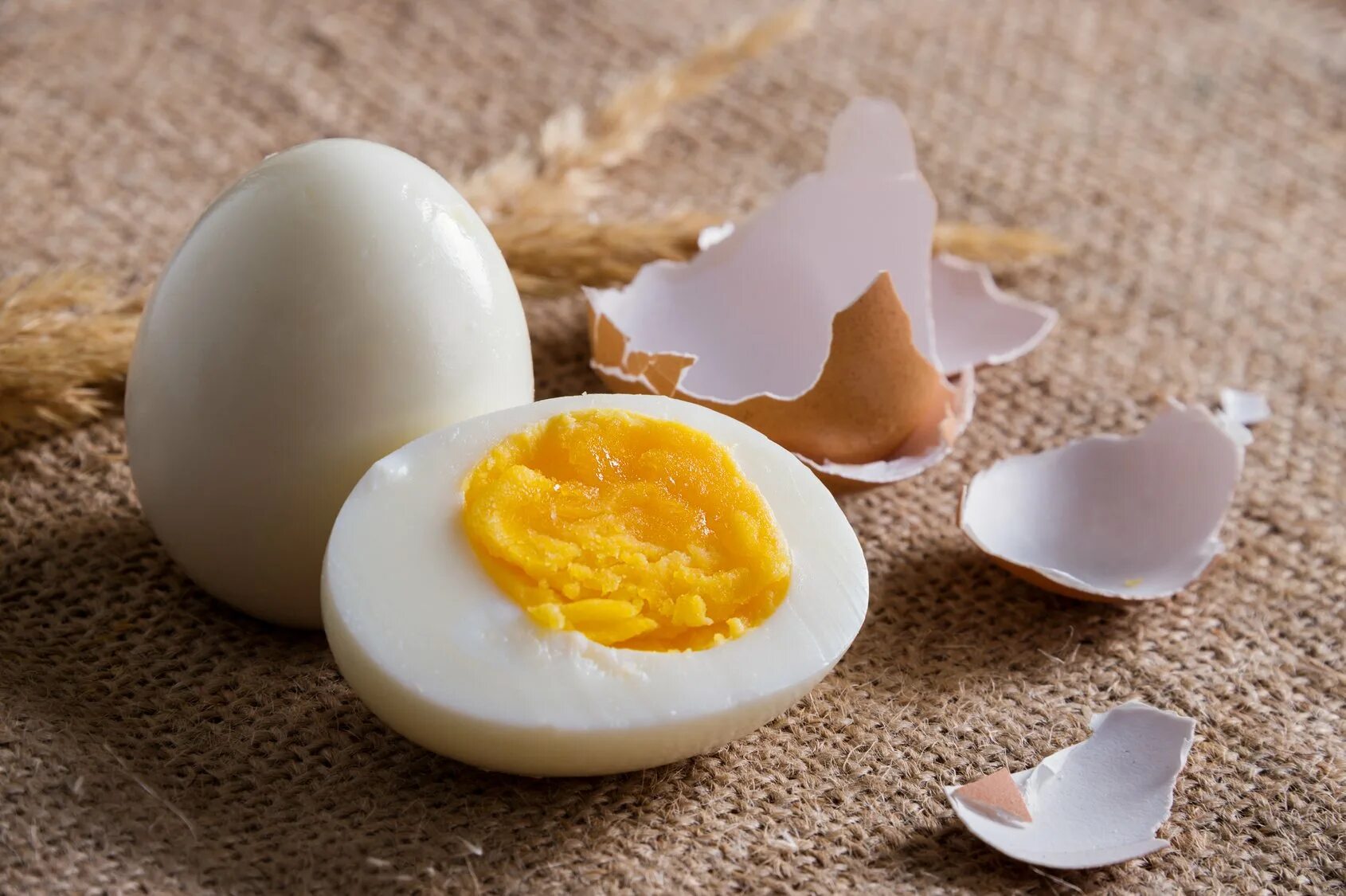 Eggs как пользоваться