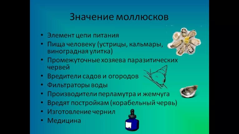 Положительное значение ракообразных