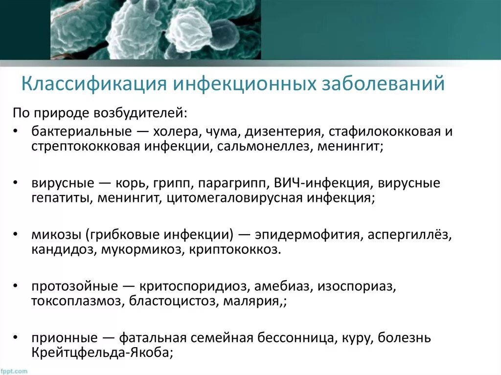 Причины инфекционных заболеваний человека. Классификация инфекционных заболеваний по источнику возбудителя. Классификация инфекционных болезней схема. Классификация инфекционных болезней по возбудителю. Основные возбудители инфекционных болезней.