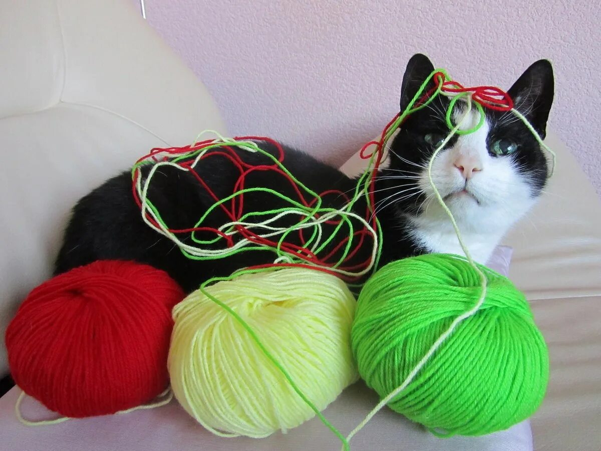 Клубок ниток. Кот в нитках. Клубки для вязания. Кот с пряжей.