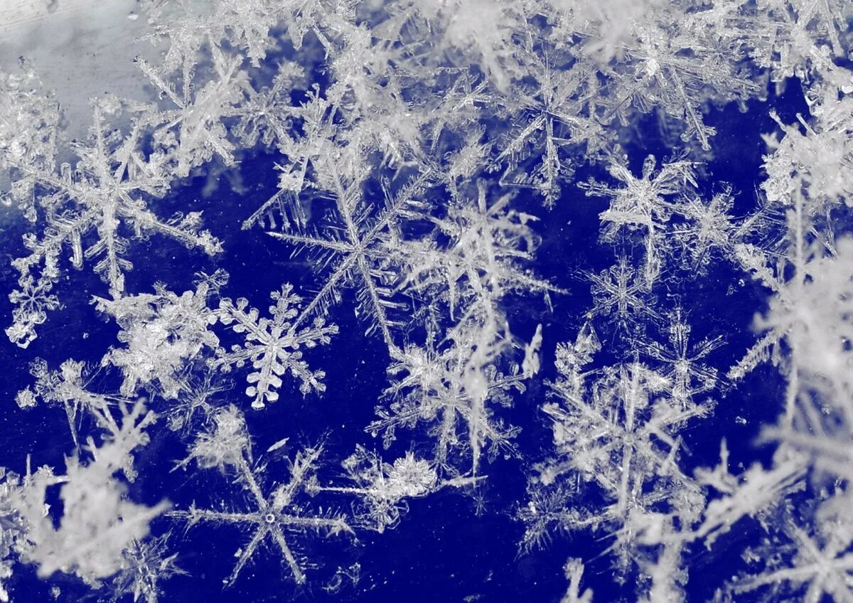 Падали снежинки белые снежинки. Фон снежинки. Снежинки падают. Падение снежинок. Снежинки падают.