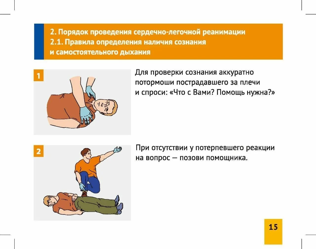 В какой последовательности следует делать. Порядок проведения сердечно-легочной реанимации алгоритм. Порядок проведения сердечно легочная реанимация пострадавших. Алгоритм-схема проведения сердечно-легочной реанимации. Алгоритм 1 помощи при сердечно легочной реанимации.