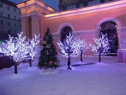 Встретить новый год новосибирск
