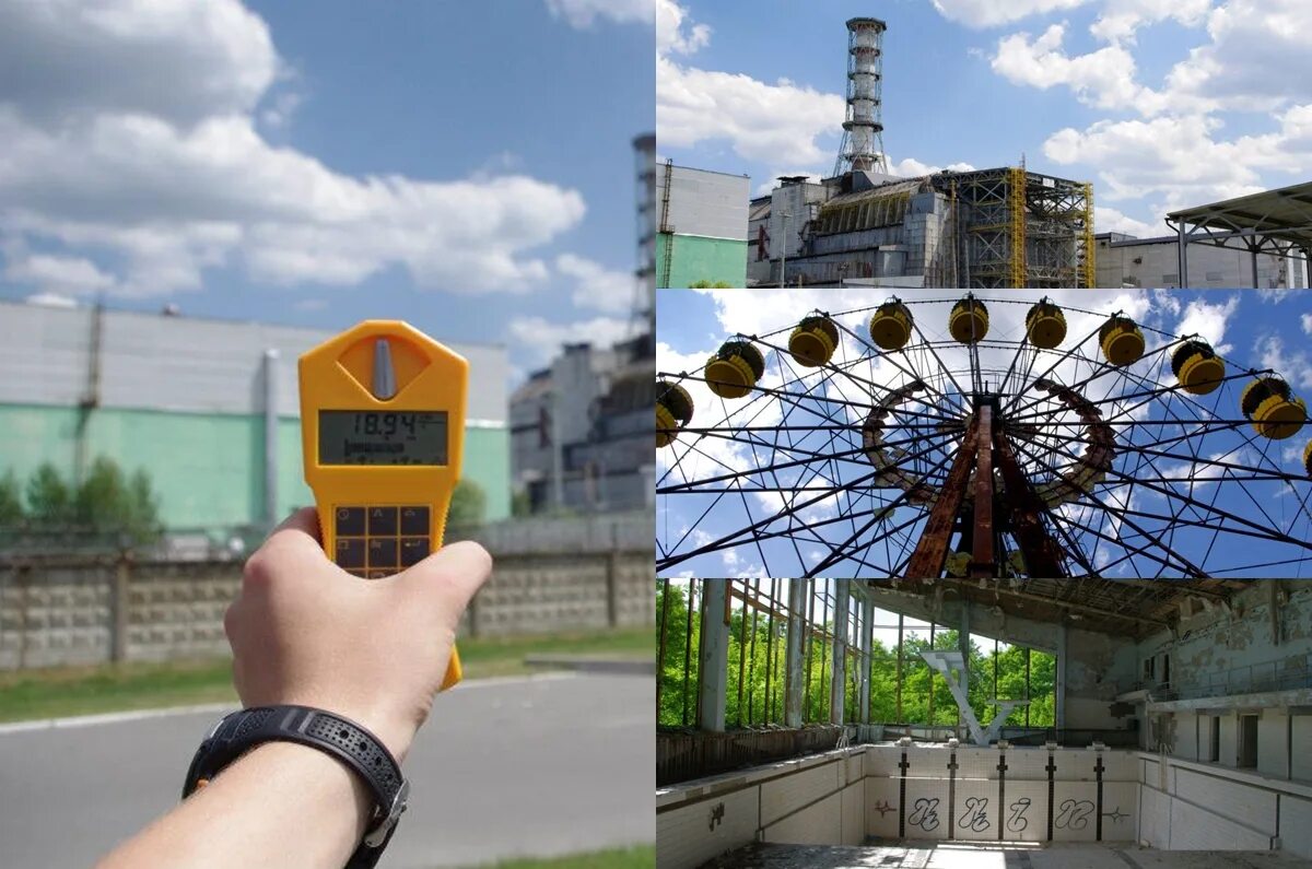 Сколько лет чернобылю в 2025 году