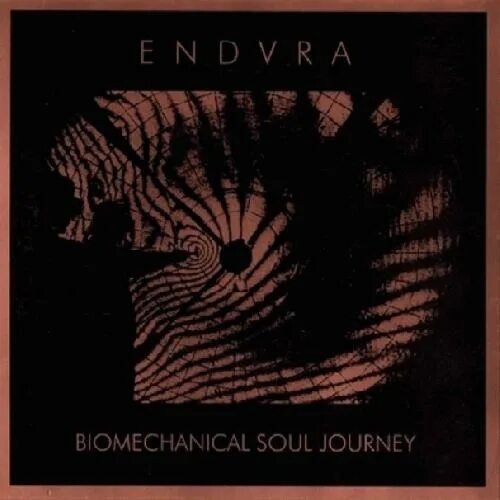 Эмбиент 1998. Endvra 1996. Endura\07-Elder signs cd1 1999.