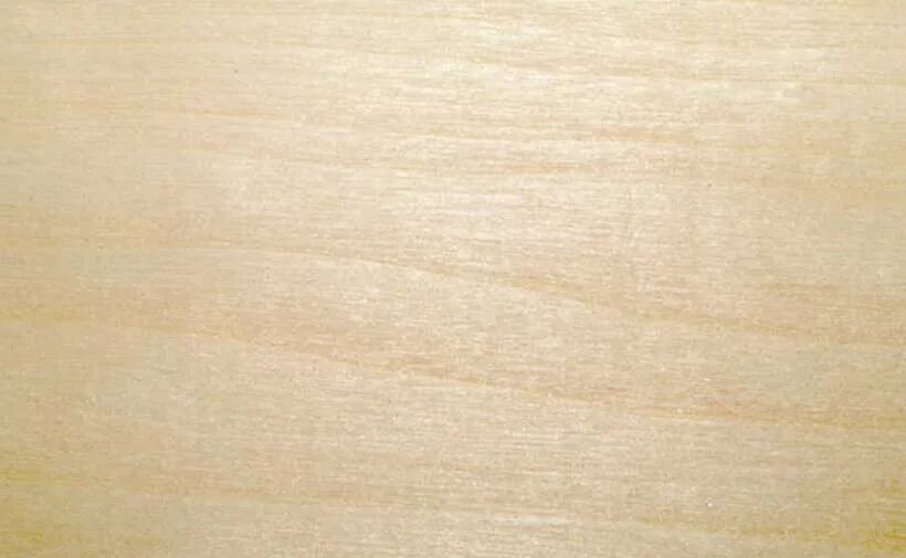 Сибирская лиственница спил. Wood lip. Wood lip. Осина срез. Поперечный срез бревна.