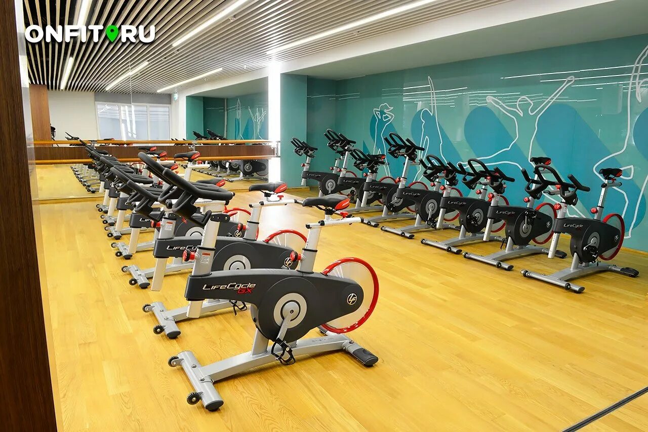 Зал алтуфьево. Alex fitness воронеж московский проспект. wtc fitness на краснопресненской. фитнес на краснопресненской набережной. зал в алтуфьево тренажерный.