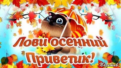 Осенний привет картинки с добрым утром
