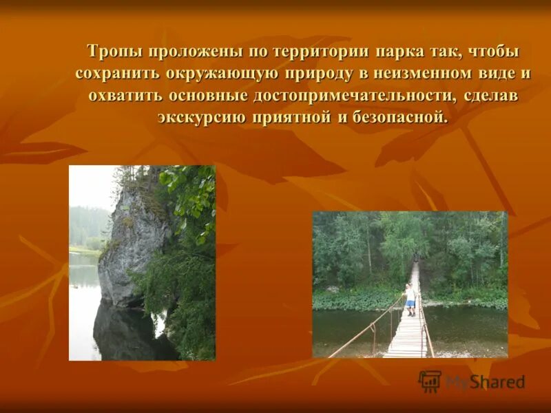 Проложенной тропе. Природный парк Оленьи ручьи Свердловская область презентация. Природный парк Оленьи ручьи рисунки детей. Оленьи ручьи парк карта-схема. Тропа проложенная Гагариным.