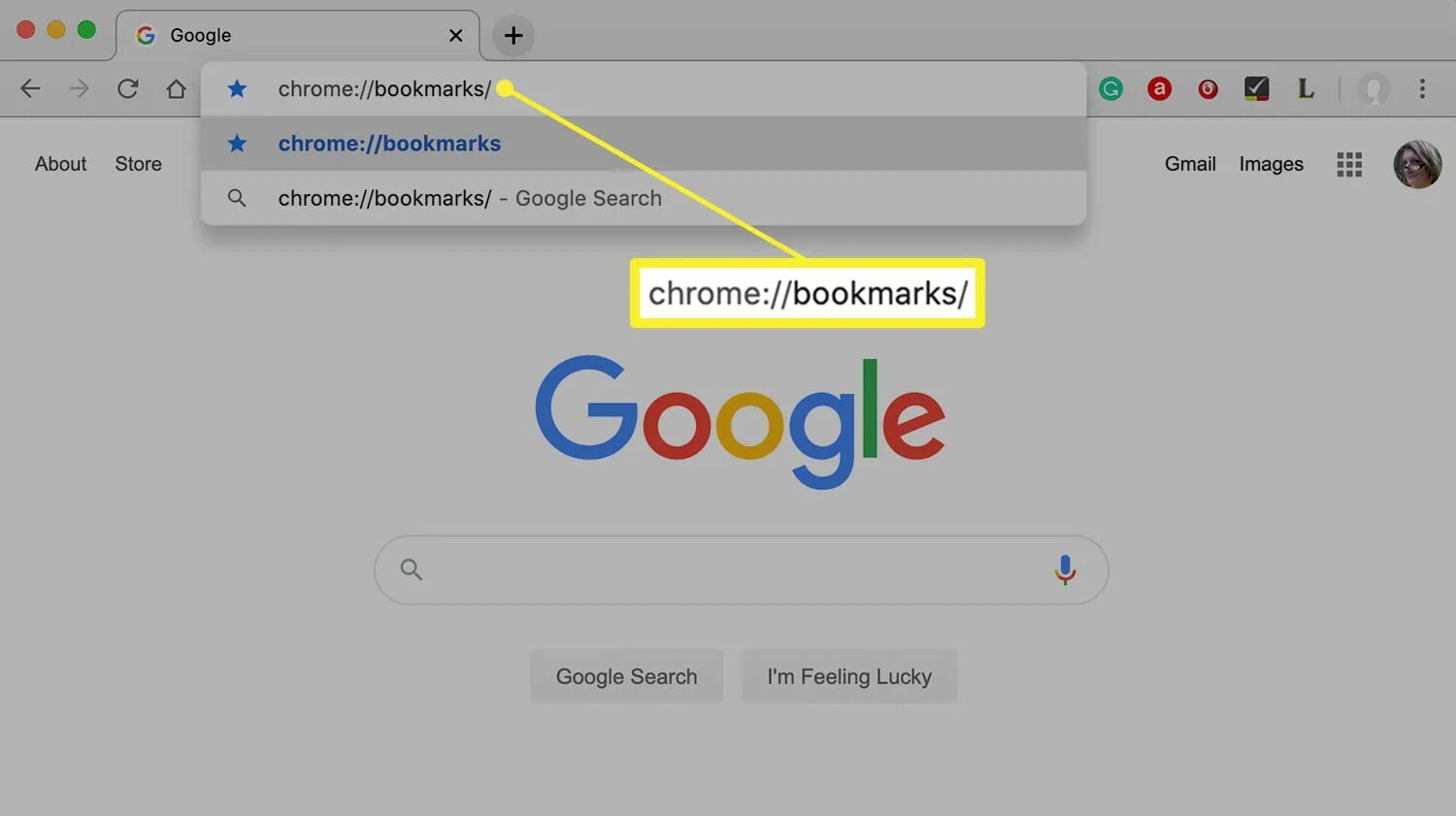 Chromium urls. Chrome открыть. Хром поиск. Google x. Google Chrome установить.