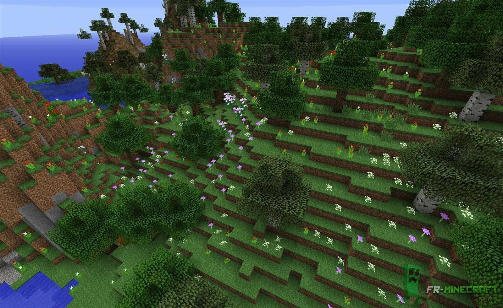 Быстро найти биом. Биом plains. minecraft forest biome. майнкрафт биом лес. биомы майнкрафт 1.18.