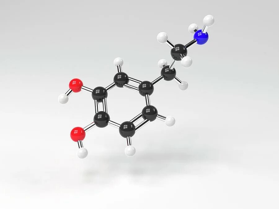 Машина размером с молекулу 9 букв. Гормон дофамин молекула. Молекулярная модель дофамин. Модель молекулы дофамина. Молекула допамина.