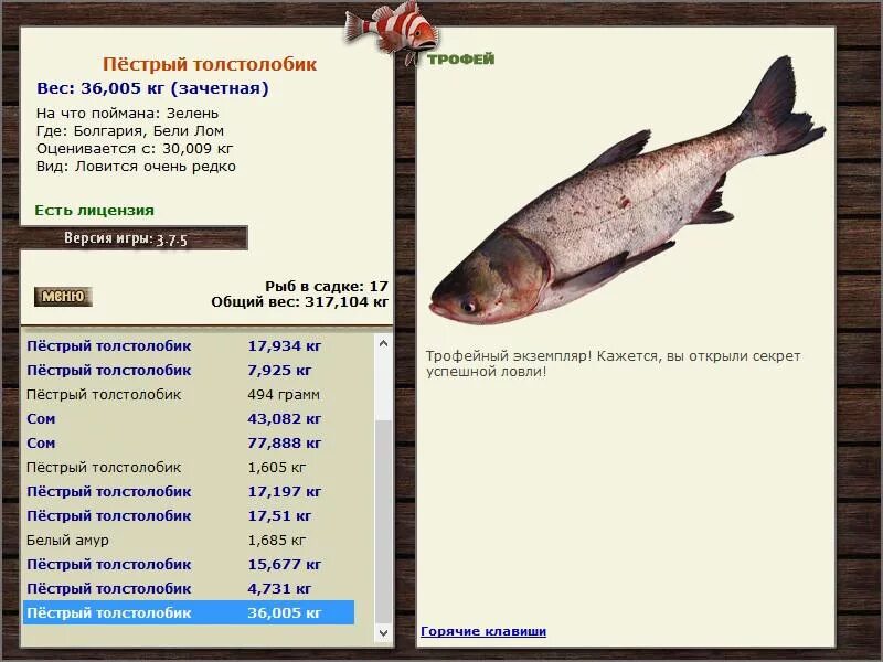русская рыбалка толстолобик. толстолобик пёстрый лесное озеро в реальной рыбалке. как поймать толстолобика в реальной рыбалке. рр 3 7 6 толстолобик. ловить толстолобик реальная рыбалка.