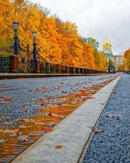 Санкт петербург форум сентябрь