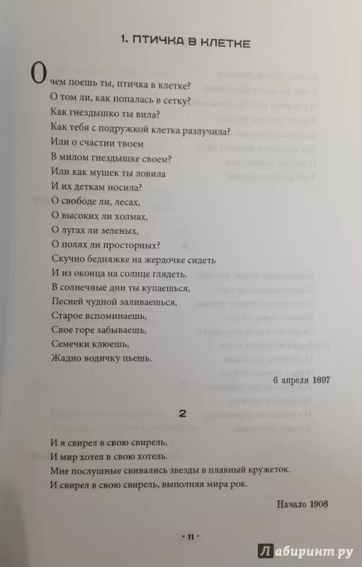 Слова песни клетки