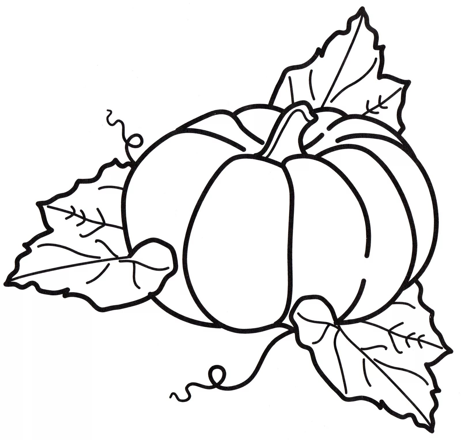 Тыква картинка для детей раскраска. Тыква раскраска. Тыква раскраска. Тыква раскраска для детей. Рисунок тыквы для раскрашивания.
