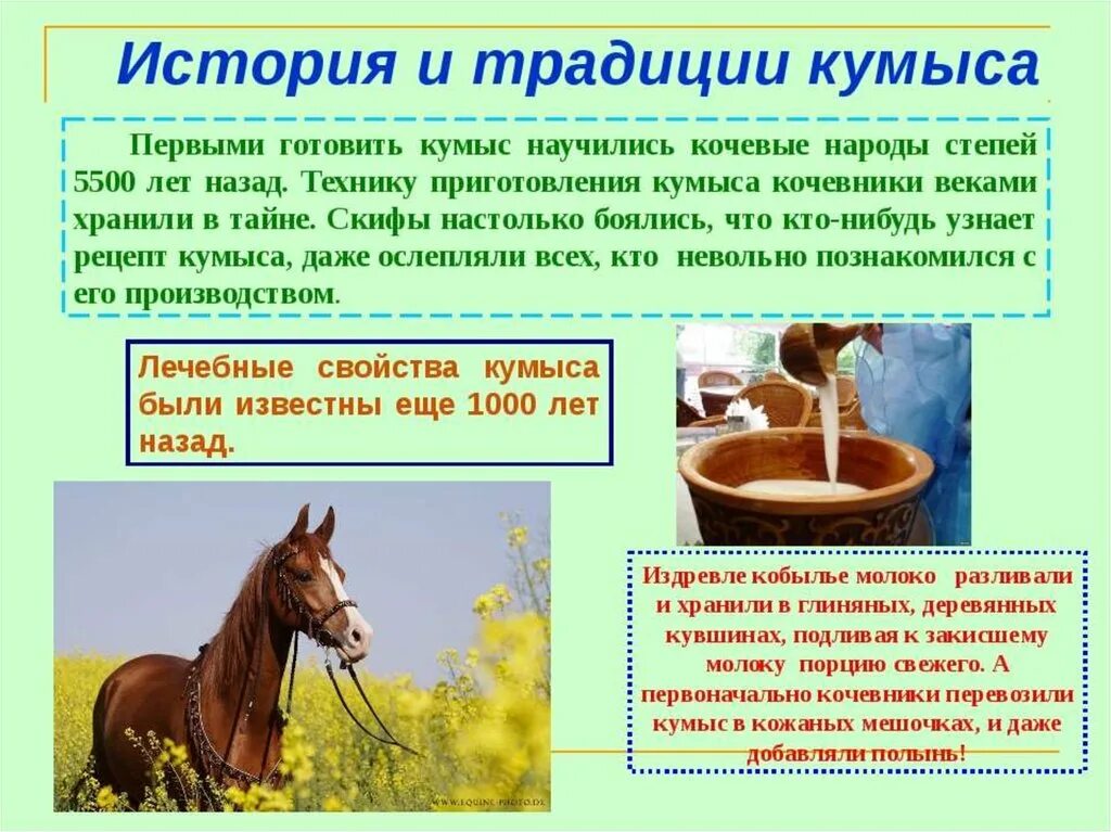 Можно ли пить кумыс. Кумыс. Приготовление кумыса. Кумыс Башкирский сообщение. Лошадиное молоко название.