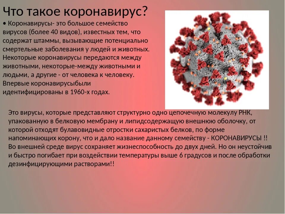 Короновирусная инфекция какая