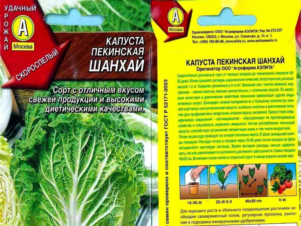 Когда сажать капусту на рассаду на урале. Рассада пекинской капусты. Семена пекинской капусты. Посадка пекинской капусты на рассаду. Садим рассаду пекинской капусты в грунт.