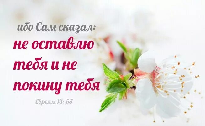 Христианские открытки на кажд. Христианские открытки со стихами из библии. Пожелания из библии. Открытки из библии с благословениями. Цитаты из библии с благословениями на день.