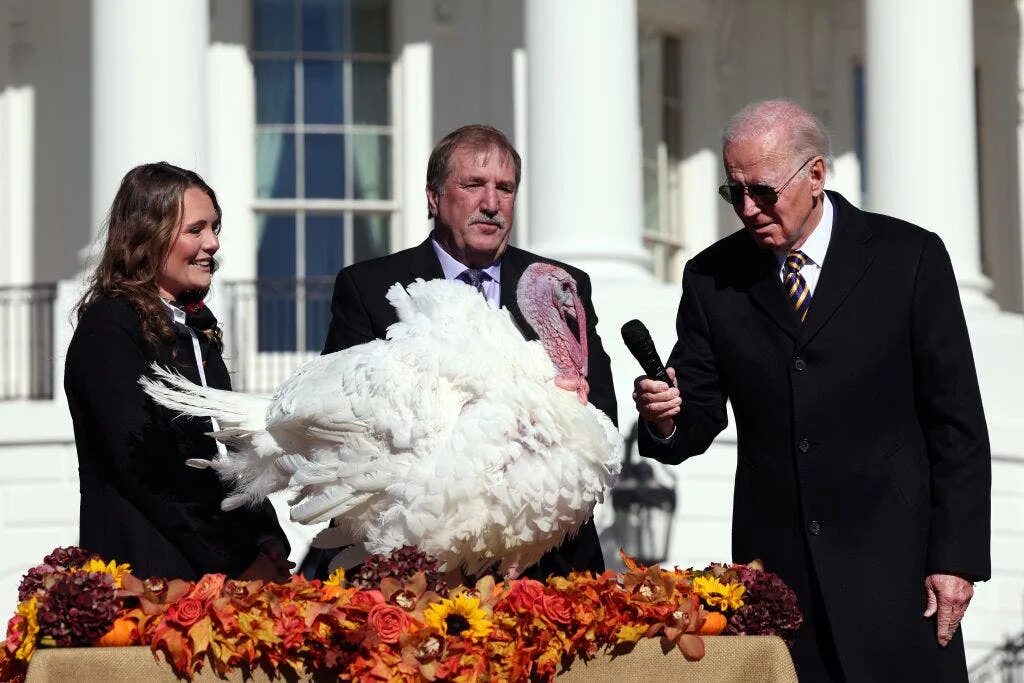 Стол с едой. Thanksgiving united. Праздник благодарения в сша. Праздник thanksgiving. Thanksgiving united.