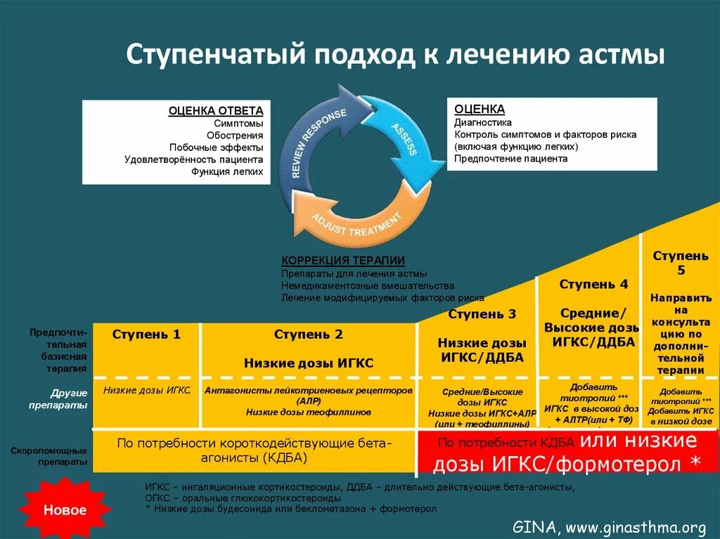 Ступенчатая терапия бронхиальной астмы препараты. Ступенчатая терапия при бронхиальной астме. Ступени терапии бронхиальной астмы. Ступенчатая терапия бронхиальной астмы с дозировками. Базисная терапия астмы препараты