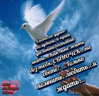 Памяти сына картинки