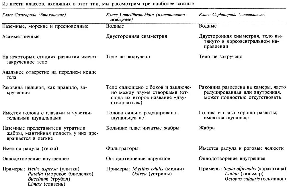 Таблица ракообразных 7 класс