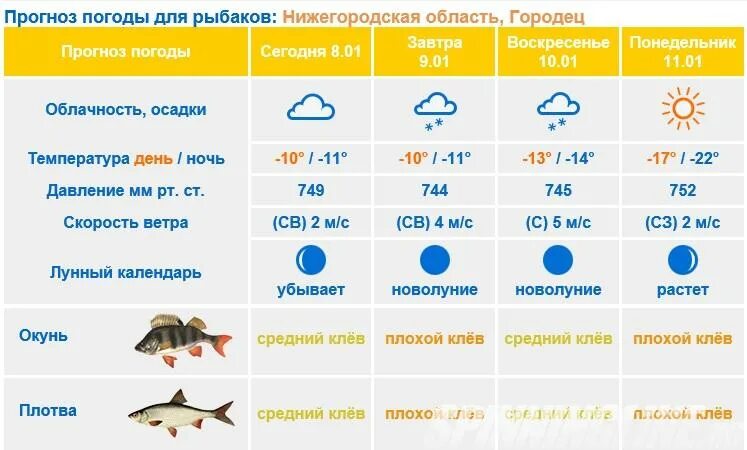 Погода на завтра заволжье. Прогноз клева. Прогноз рыбалки. Прогноз погоды для рыбалка на завтра. Прогноз клева на завтра.