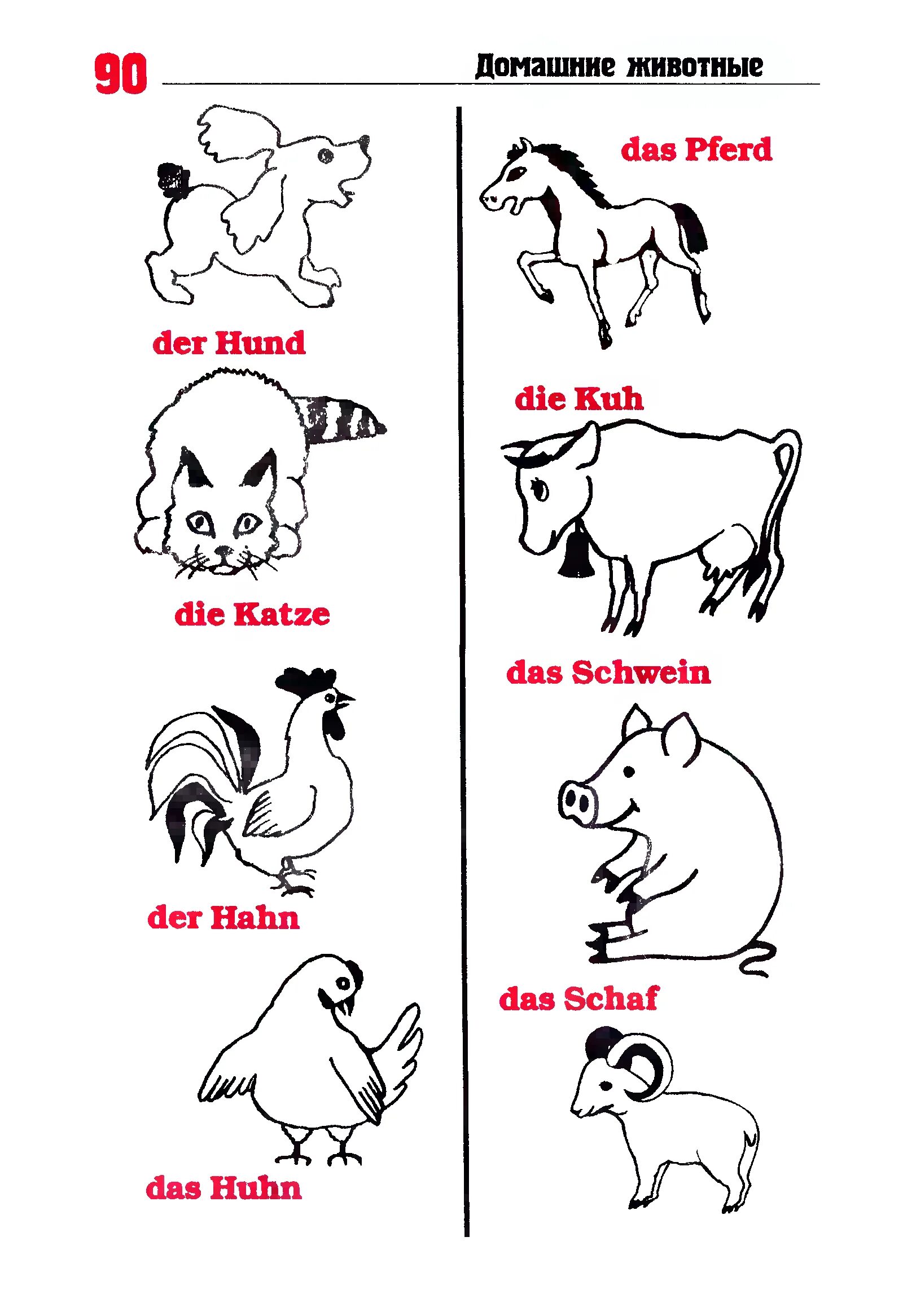 Уроки немецкого языка животные. Немецкий язык домашние животные задания. Не животные. Животные на немецком. Названия животных на немецком языке.