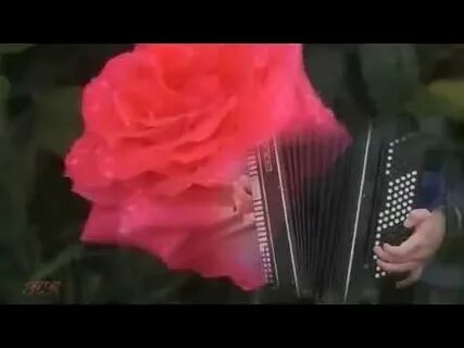 Песни мок