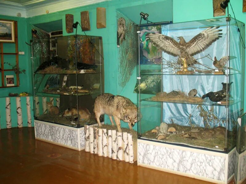 бугурусланский краеведческий музей. бугурусланский краеведческий музей. краеведческий музей. краеведческий музей города бугуруслана. бугурусланский краеведческий музей.