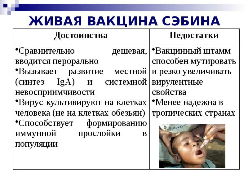 Полиомиелит вакцина график. Ревакцинация от полиомиелита в 6 лет. Вакцина сэбина. Живая полиомиелитная вакцина. Преимущества живых вакцин.