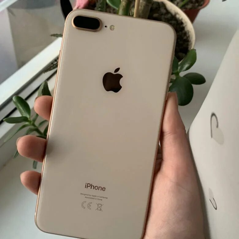 Айфон 8 плюс купить. Iphone 8 Plus Moskva. Айфон 8 плюс в Москве. Айфон 8 за 15000. Айфон 8 за 15000 рублей оригинал.