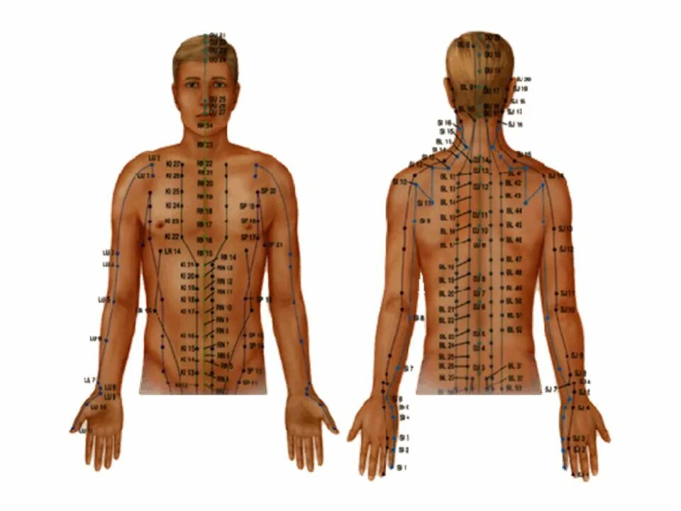 Точки на пояснице. Китайская акупунктура и меридианы тела. Атлас Меридиан спина иглотерапия. Активные точки на спине акупунктура. Акупунктурные точки на теле человека китайская медицина.