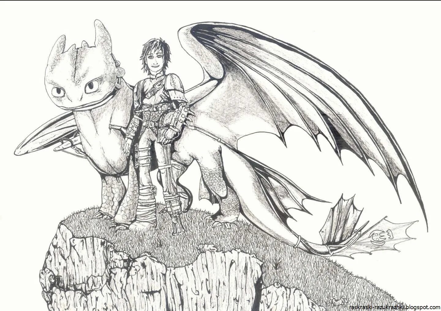 Как нарисовать беззубика из как приручить дракона. Фурия дракон раскраска. Дракон раскраска фурия и беззубик. Как нарисовать беззубика из как приручить дракона. Как нарисовать беззубика из как приручить дракона.