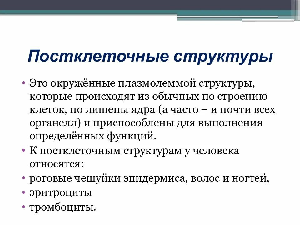 Неклеточные структуры. Неклеточные структуры тканей гистология. Неклеточные структуры гистология. Надклеточные структуры гистология. Эластический хрящ окраска орсеином.