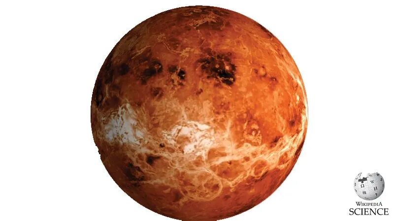 Venus 3D-Modell - TurboSquid 1288913