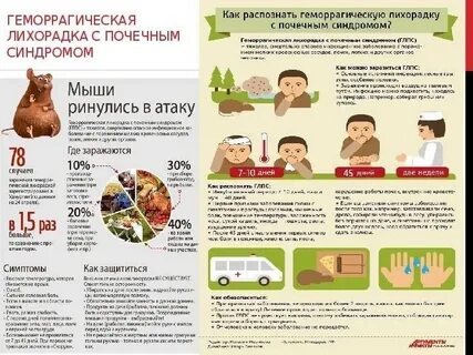 Лечение геморрагической лихорадки с почечным