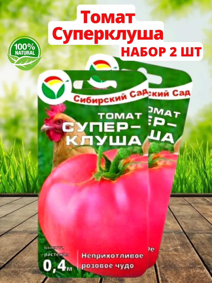 Помидоры супер клуша фото